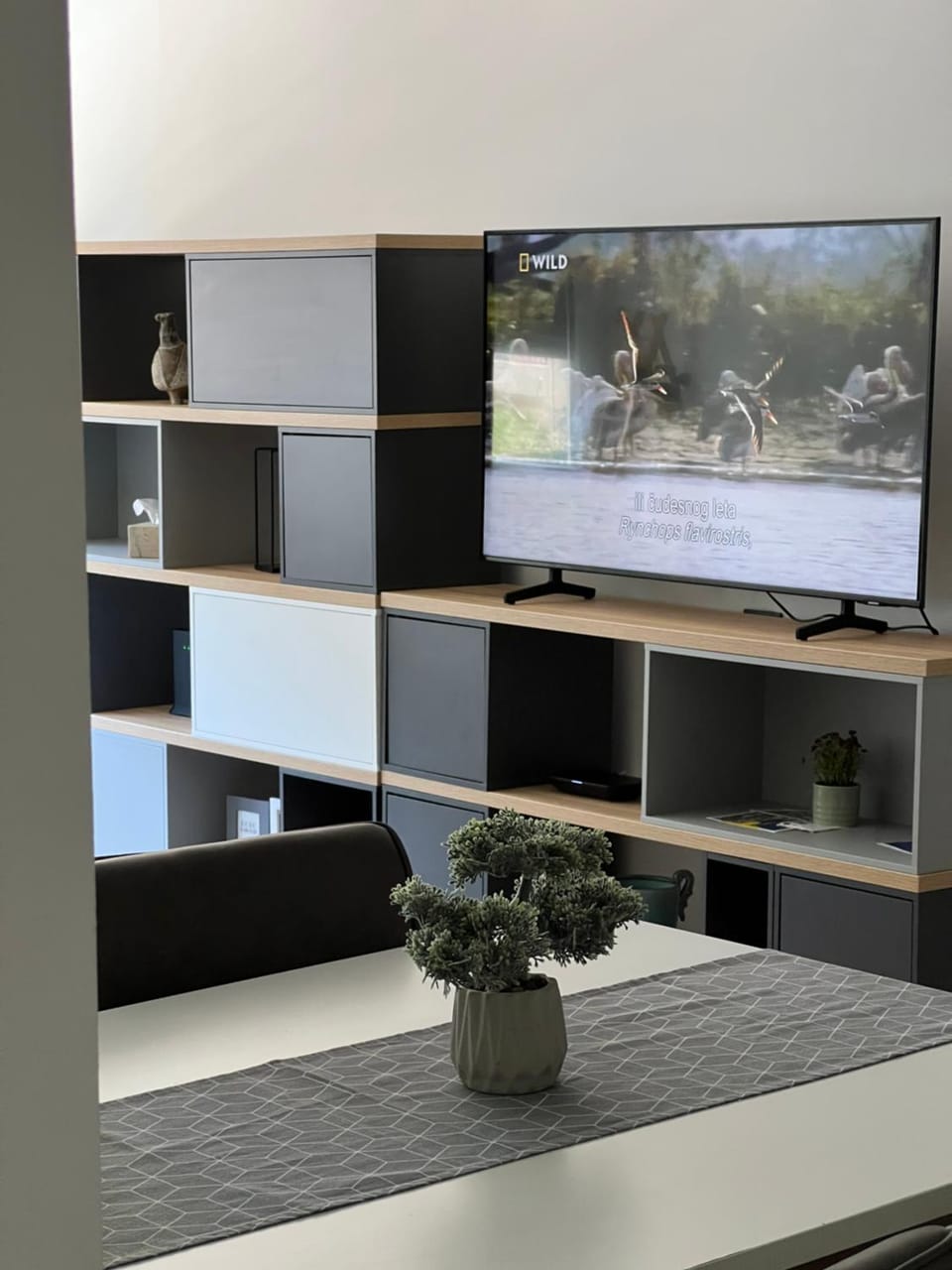 TV and multimedia