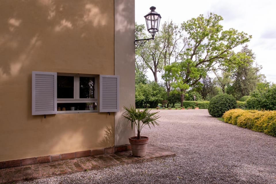 Garden view
