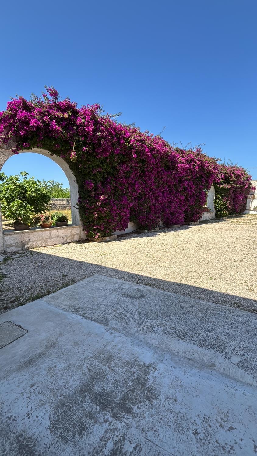 Il Giardino del Priore Dimora Rurale Bed and Breakfast in Ugento