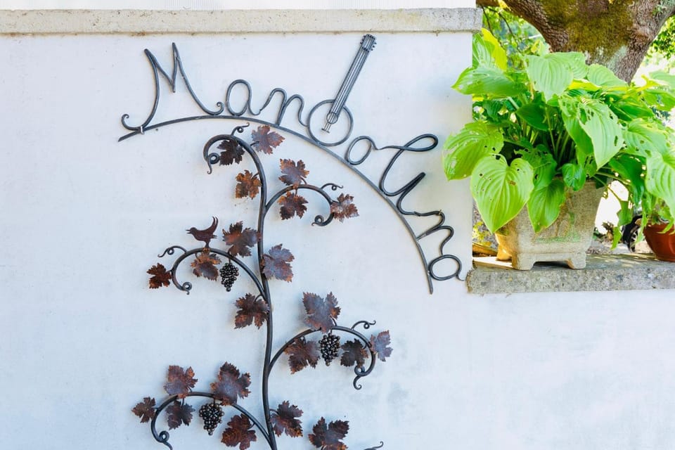 Casa vacanze il Mandolino tra Orvieto e Bolsena Apartment in Umbria
