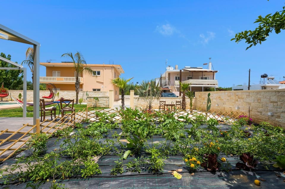 Day, Garden