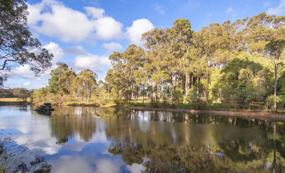 Natural landscape, Area and facilities