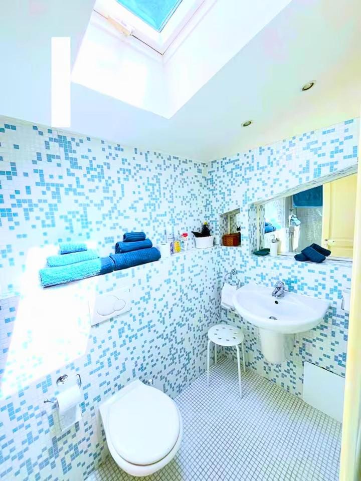 Toilet, Bathroom, hair dryier, towels