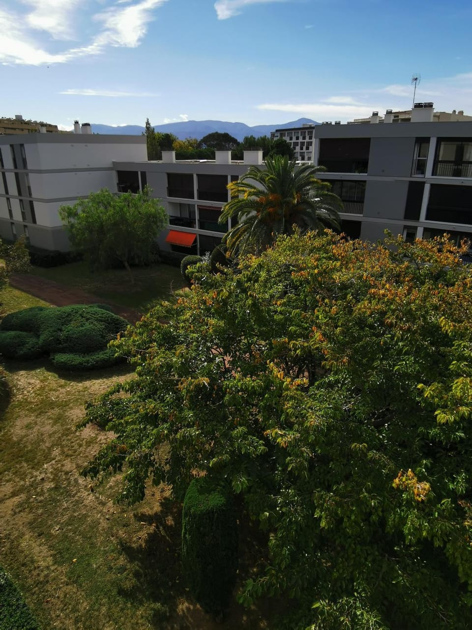 Day, Natural landscape, Garden, View (from property/room), Garden view