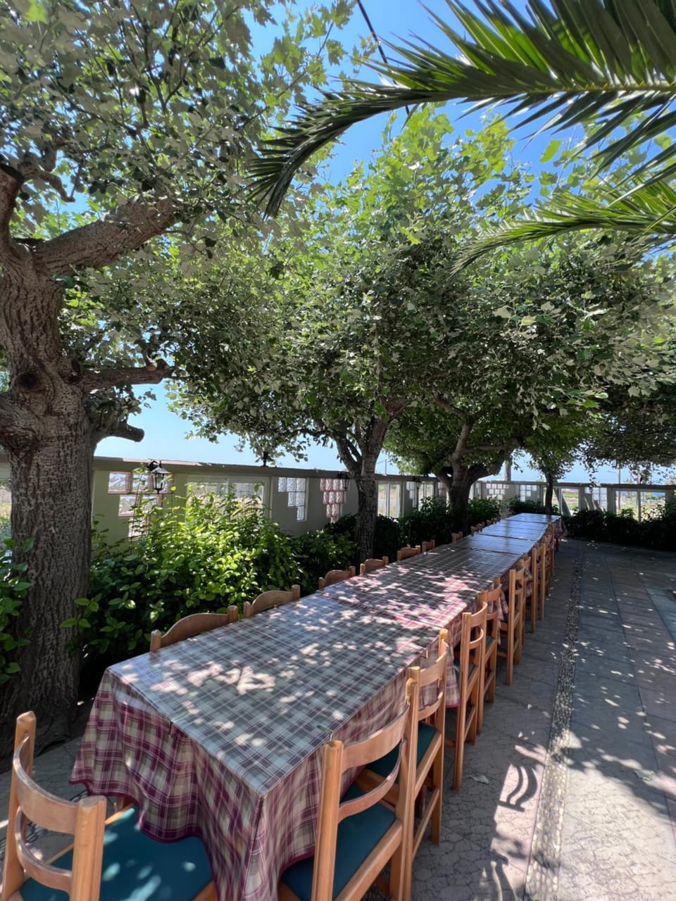 Restaurant/places to eat, Garden, Garden view