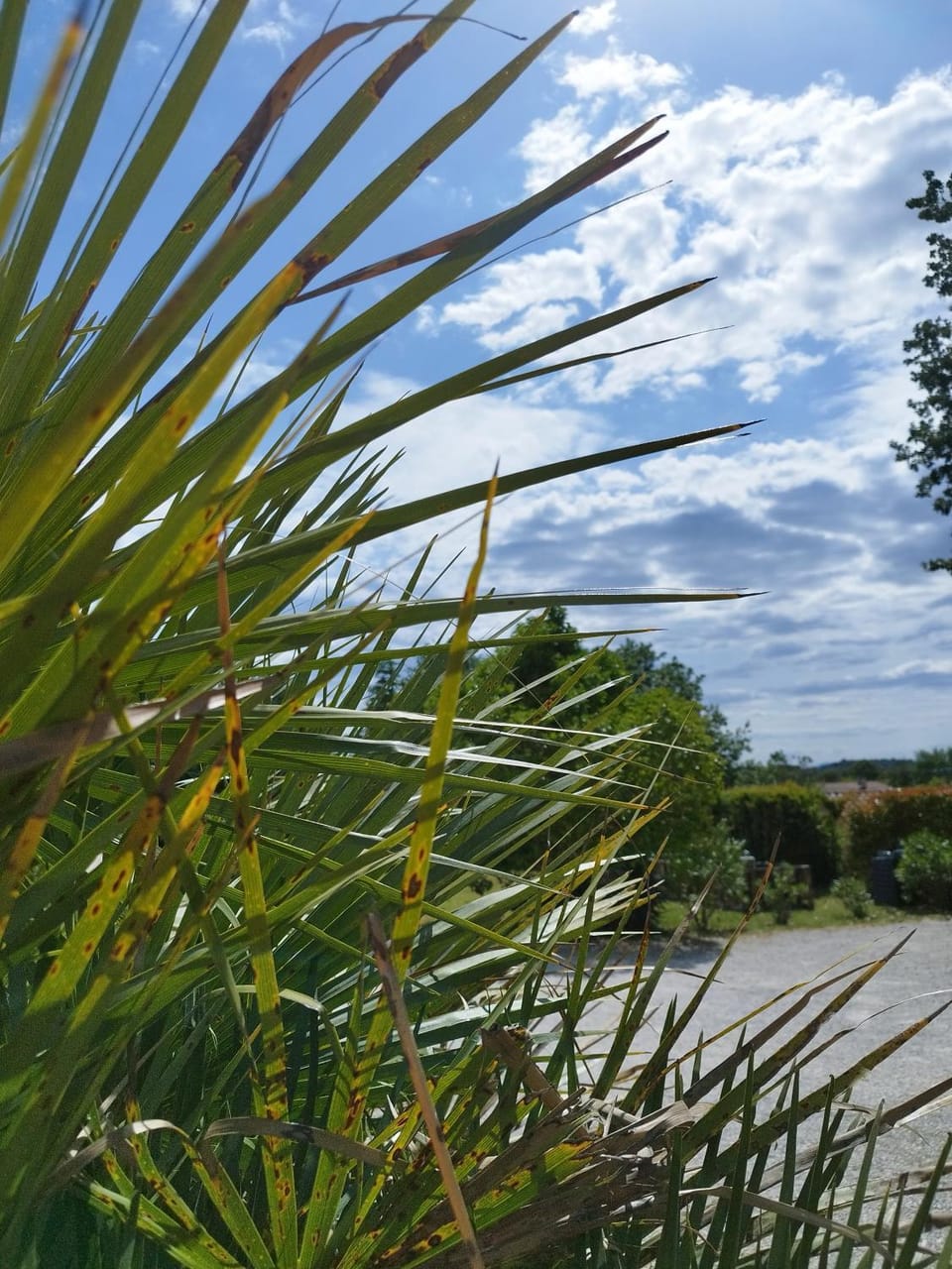 Natural landscape