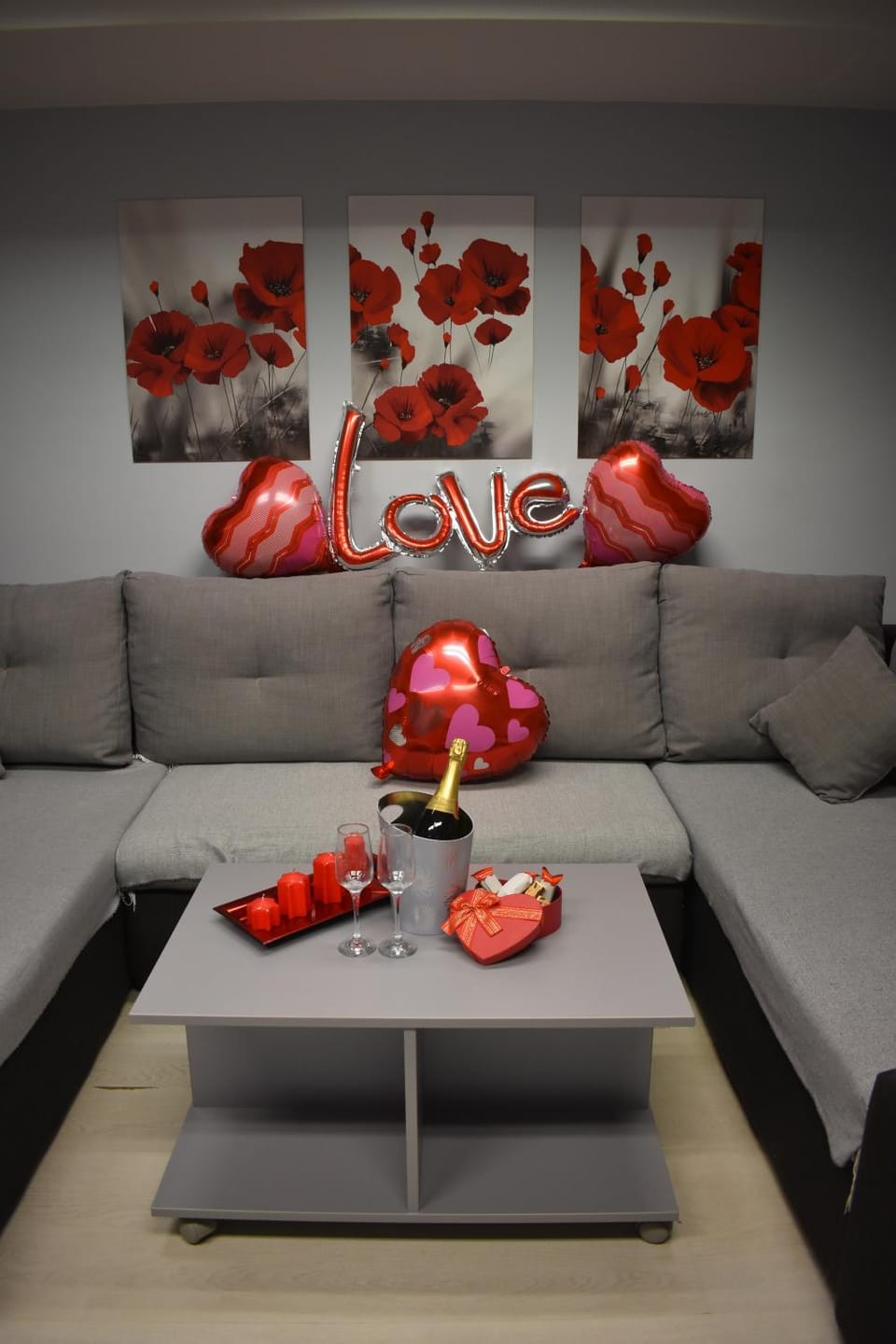 Apartman Tara Apartment in Belgrade