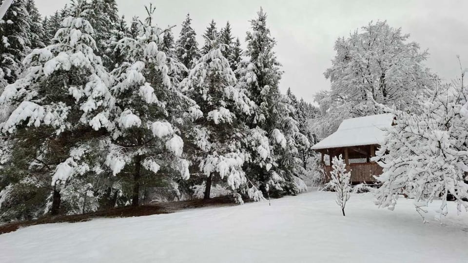 Райський куточок House in Ukraine