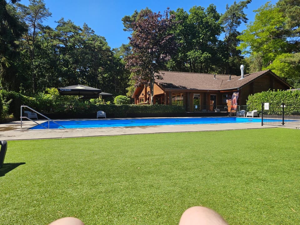 Spring, Day, Natural landscape, Garden, Garden view, Pool view, Swimming pool, sunbed