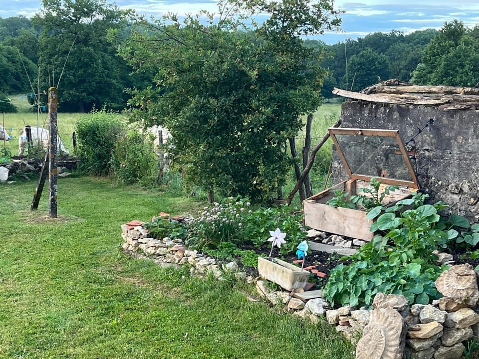 Natural landscape, Garden