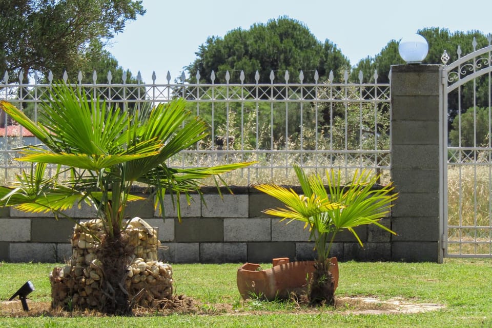 Garden, Decorative detail, Garden view