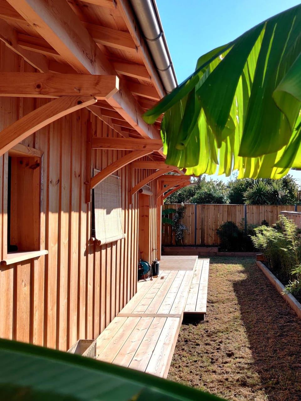 Patio, Garden