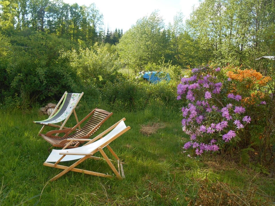 Day, Natural landscape, Garden view, sunbed