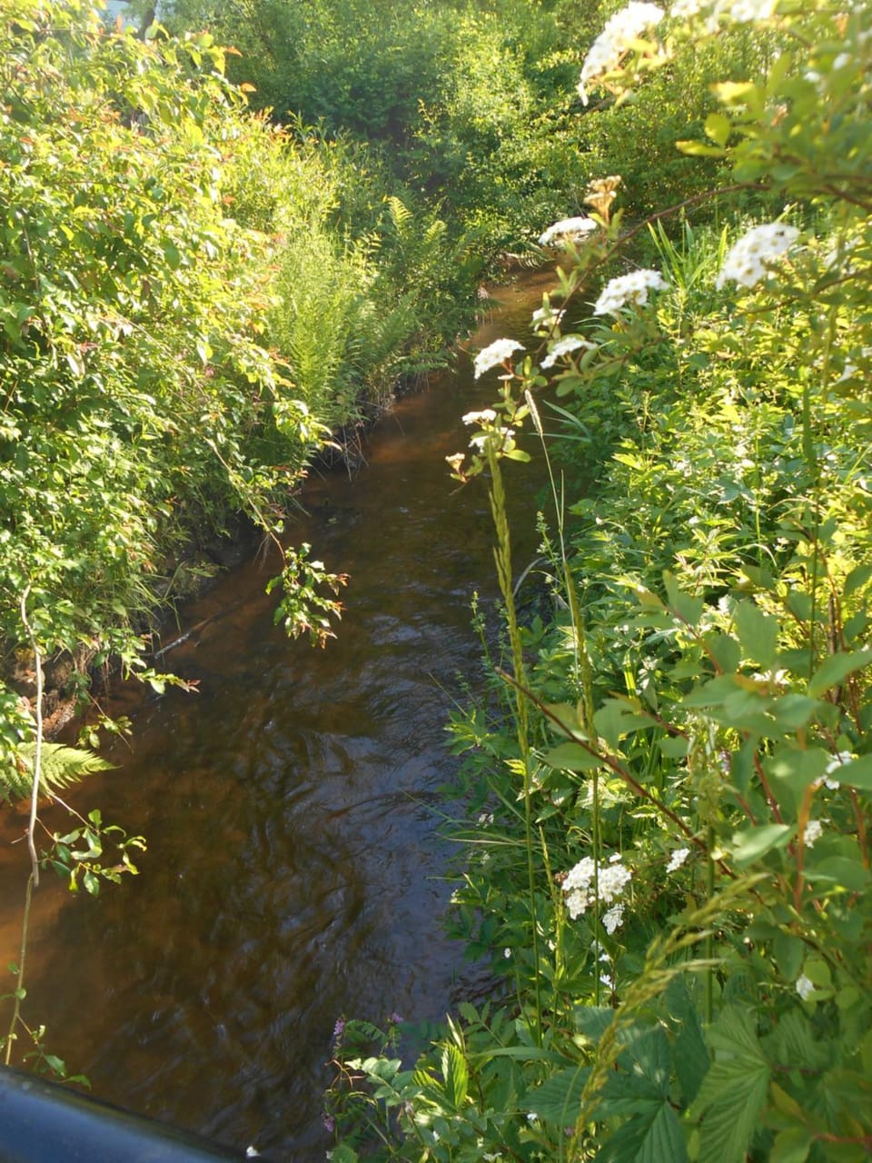 Spring, Natural landscape, River view