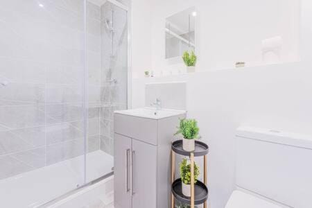 Smart 1 Bed Apartment in Wolverhampton Apartment in Wolverhampton
