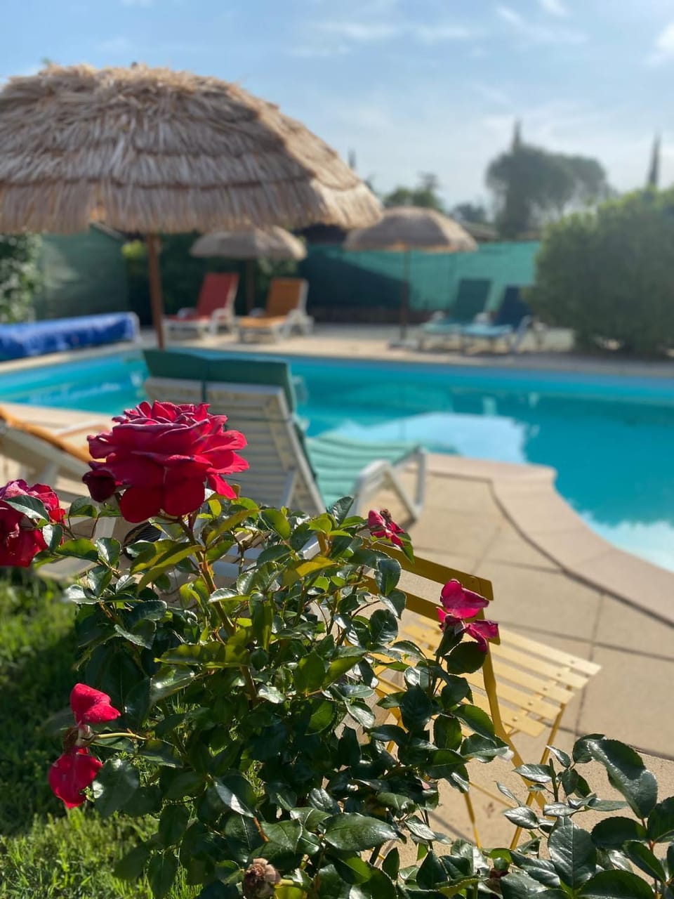 Pool view