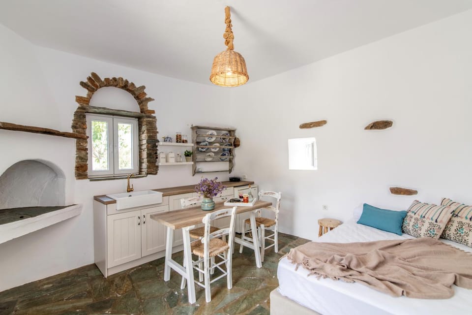 Bed, Kitchen or kitchenette, Living room, Photo of the whole room, Seating area, Dining area, Bedroom