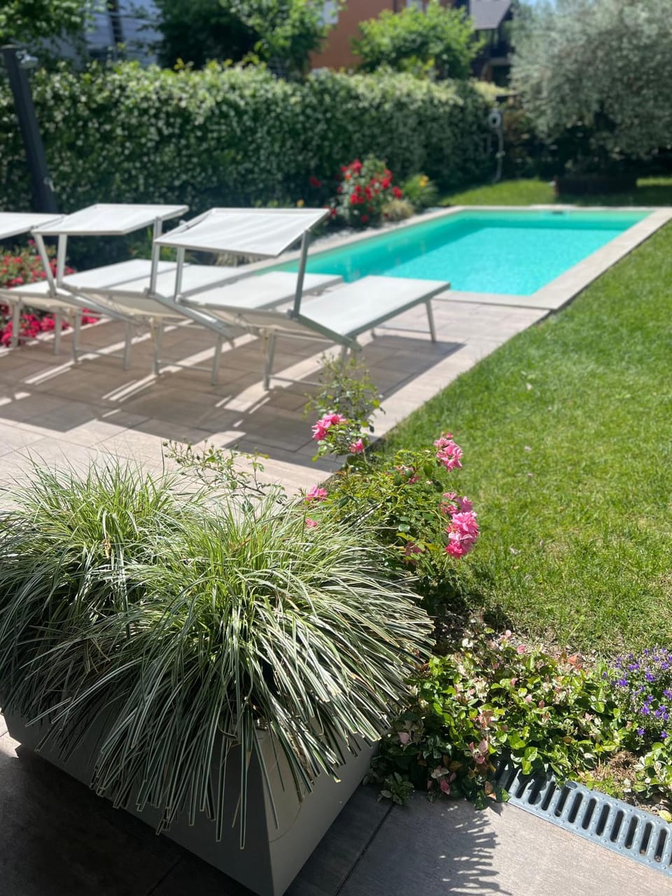 Garden, Garden view, Swimming pool, sunbed