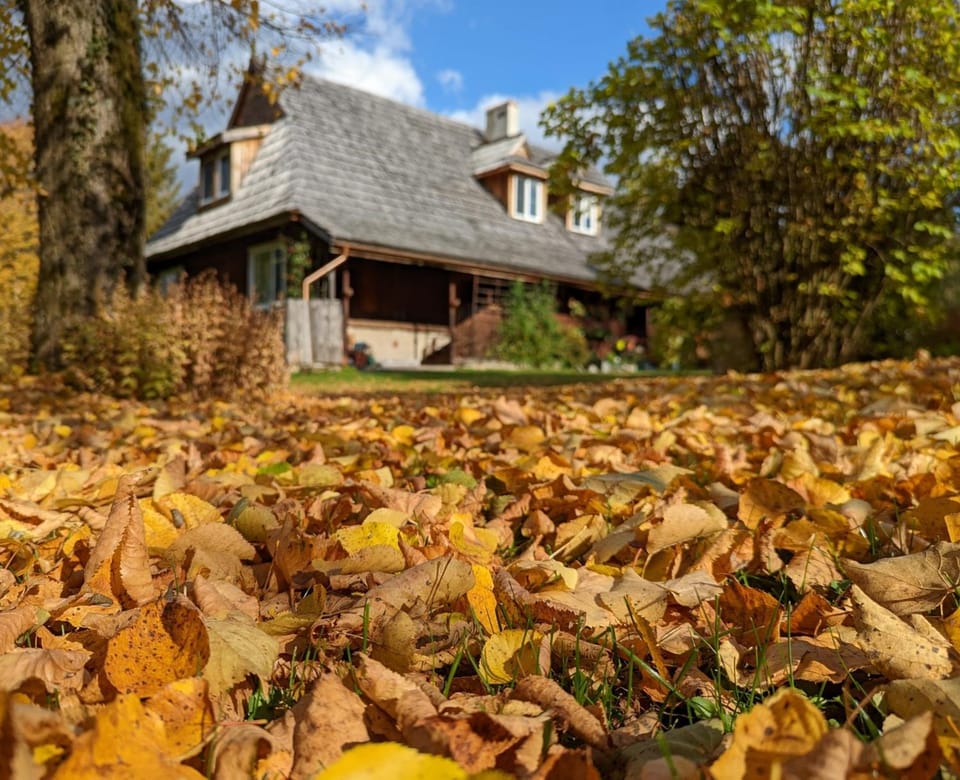 Property building, Garden, Garden, Autumn