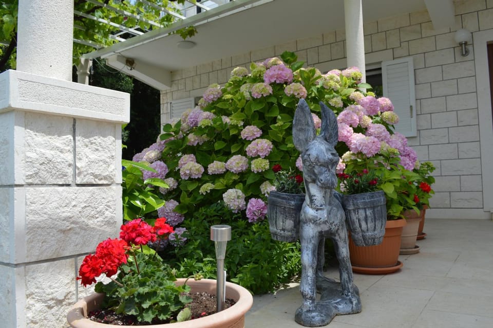 Garden, Garden view