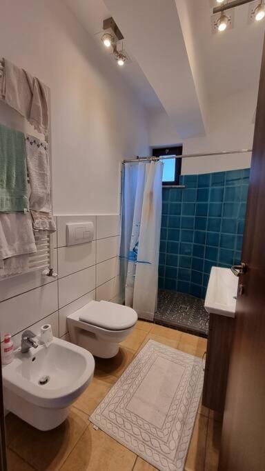Shower, Toilet, Bathroom, bidet