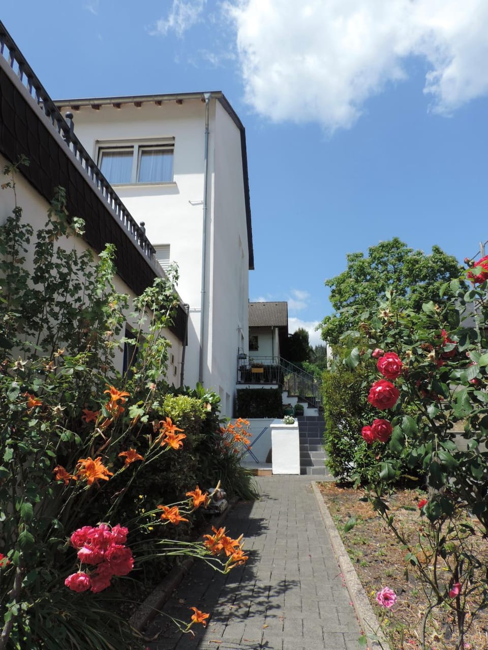 Property building, Garden, Garden view