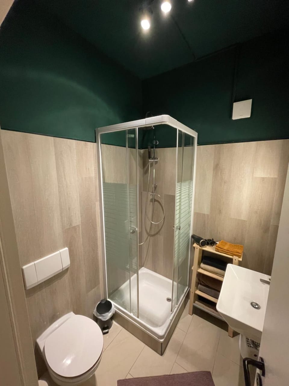 Shower, Toilet, Bathroom, hair dryier, towels