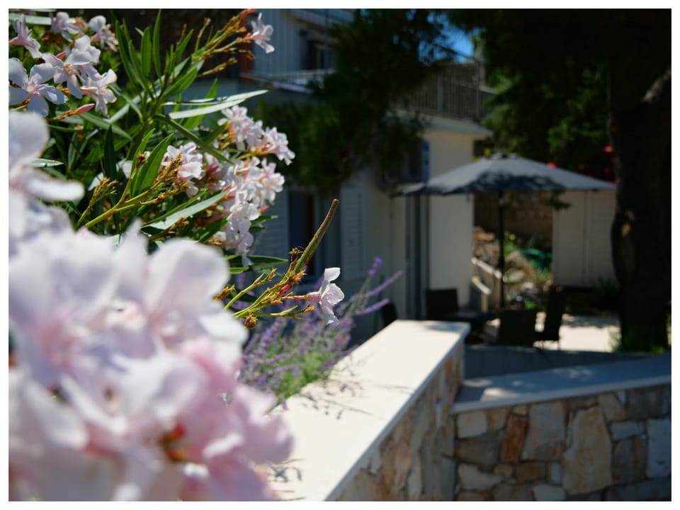 Miro Apartment in Šibenik-Knin County, Croatia