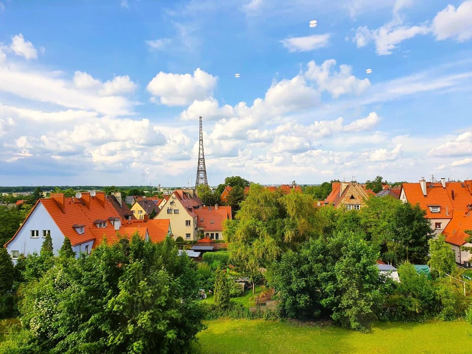 Spring, Day, Natural landscape, Bird's eye view, City view