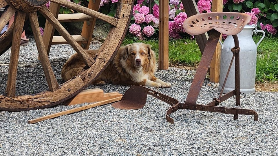 Les naturelles House in Normandy