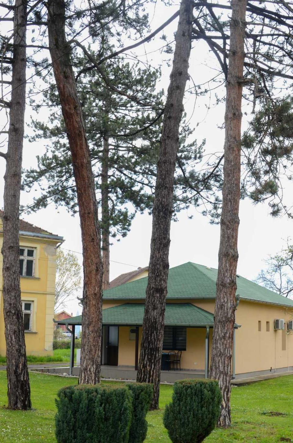 Property building, Garden view