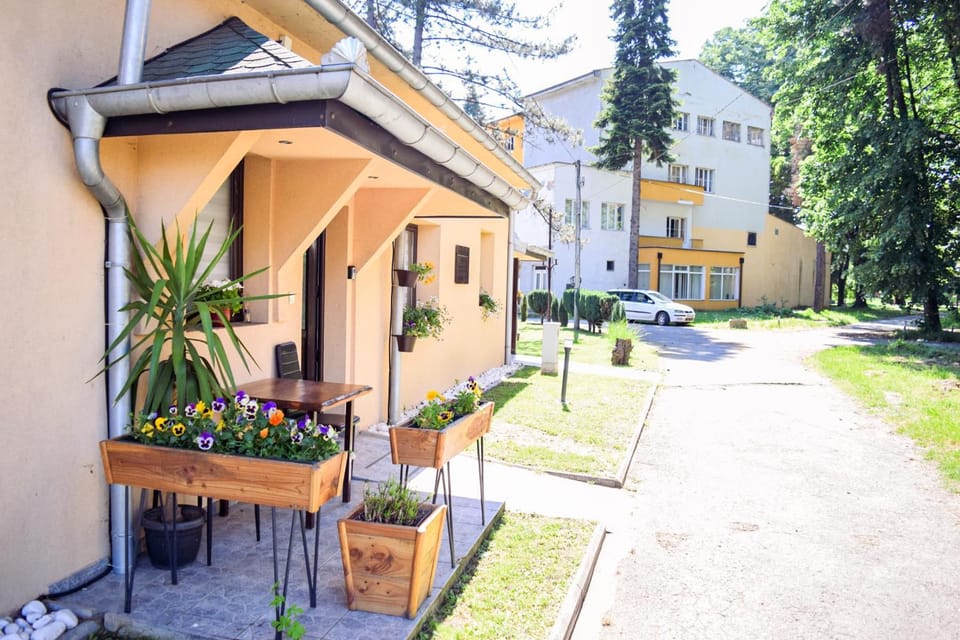 Property building, Day, Neighbourhood, Street view