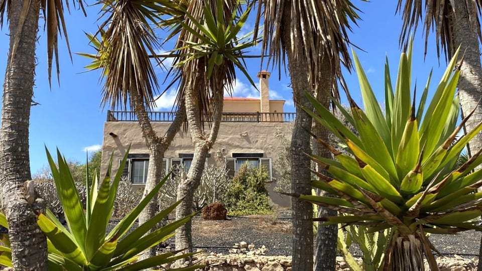 Property building, Garden view