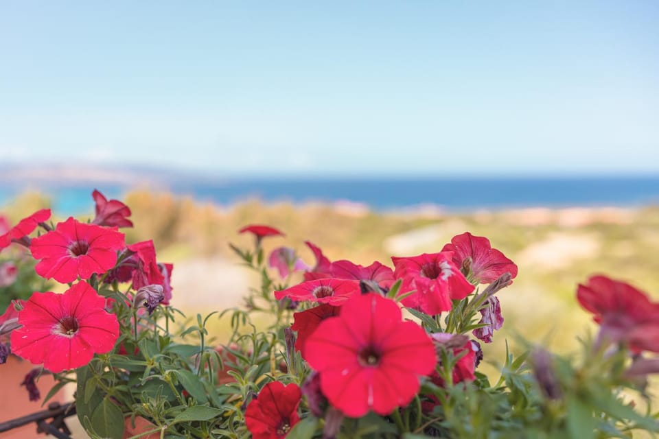 Ancóramare view Bed and Breakfast in Stintino