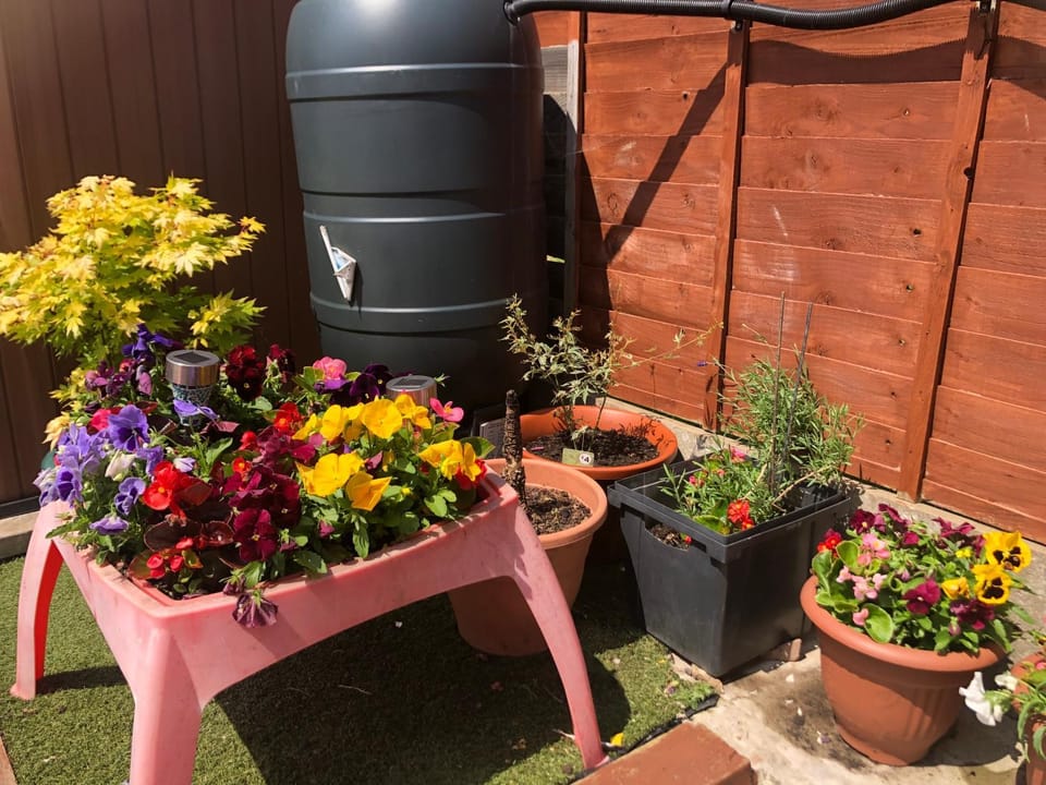 Patio, Balcony/Terrace