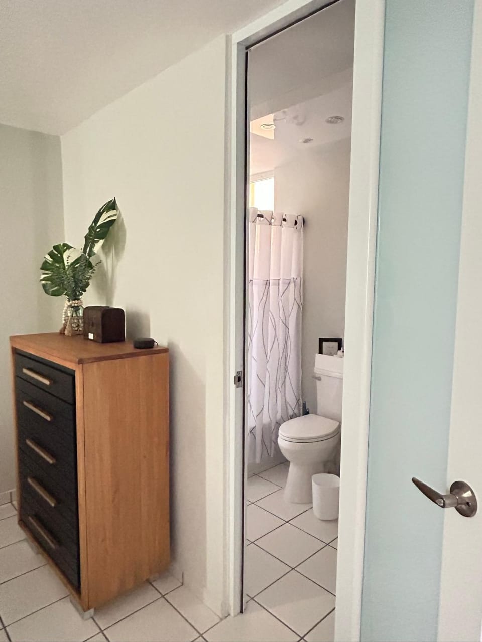 Shower, Toilet, Bathroom, bidet