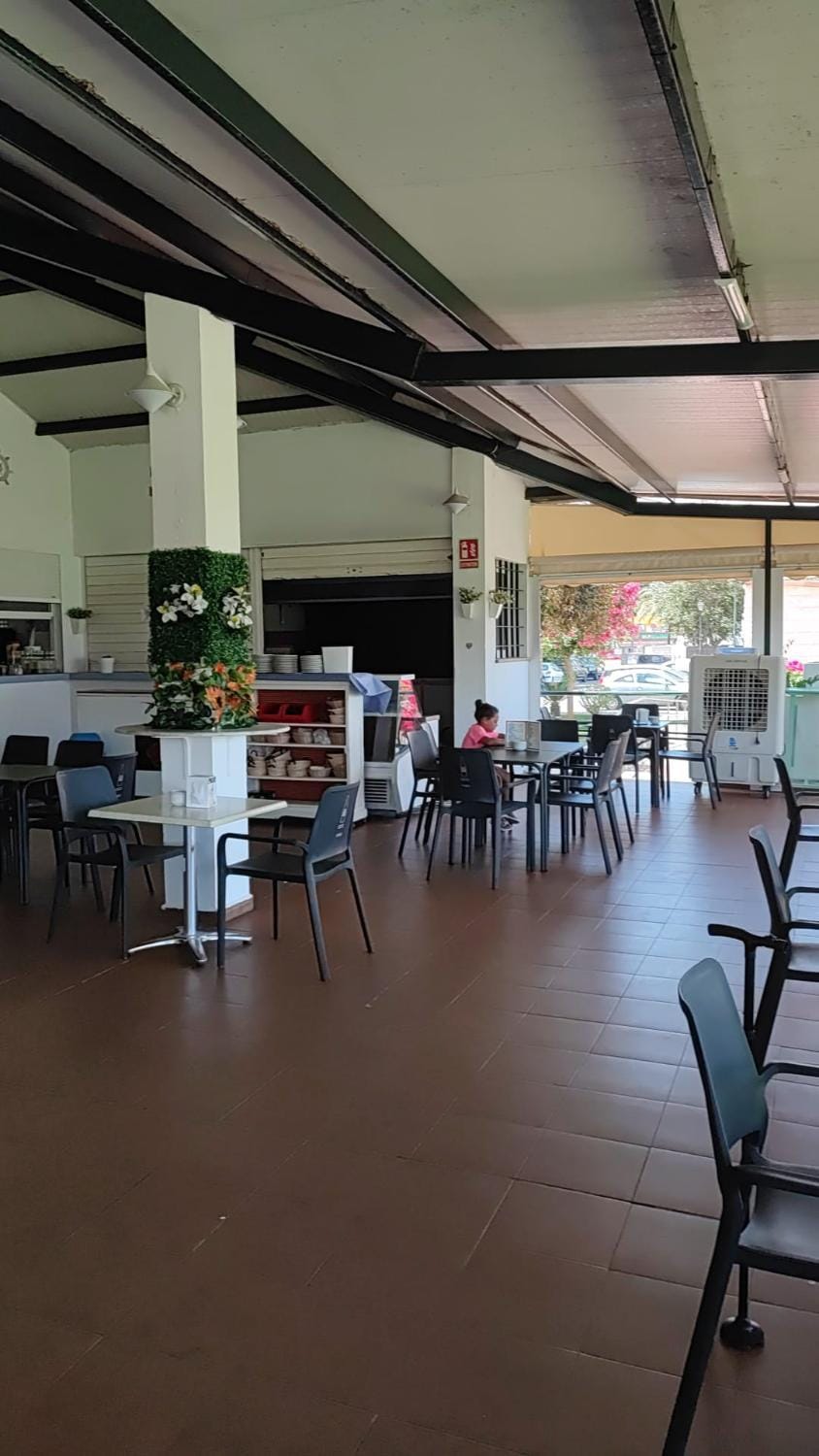 Lounge or bar