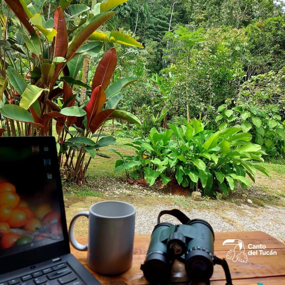 Natural landscape, Garden, Garden view