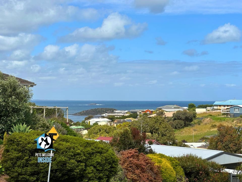 Neighbourhood, Natural landscape, Bird's eye view, Sea view