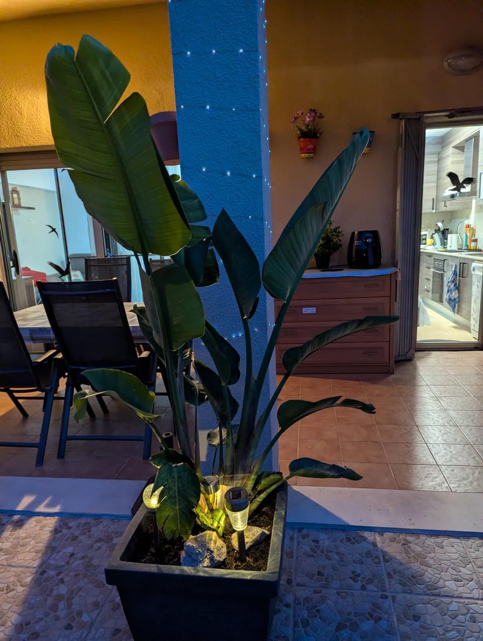 Casa Felicitas House in Miami Platja