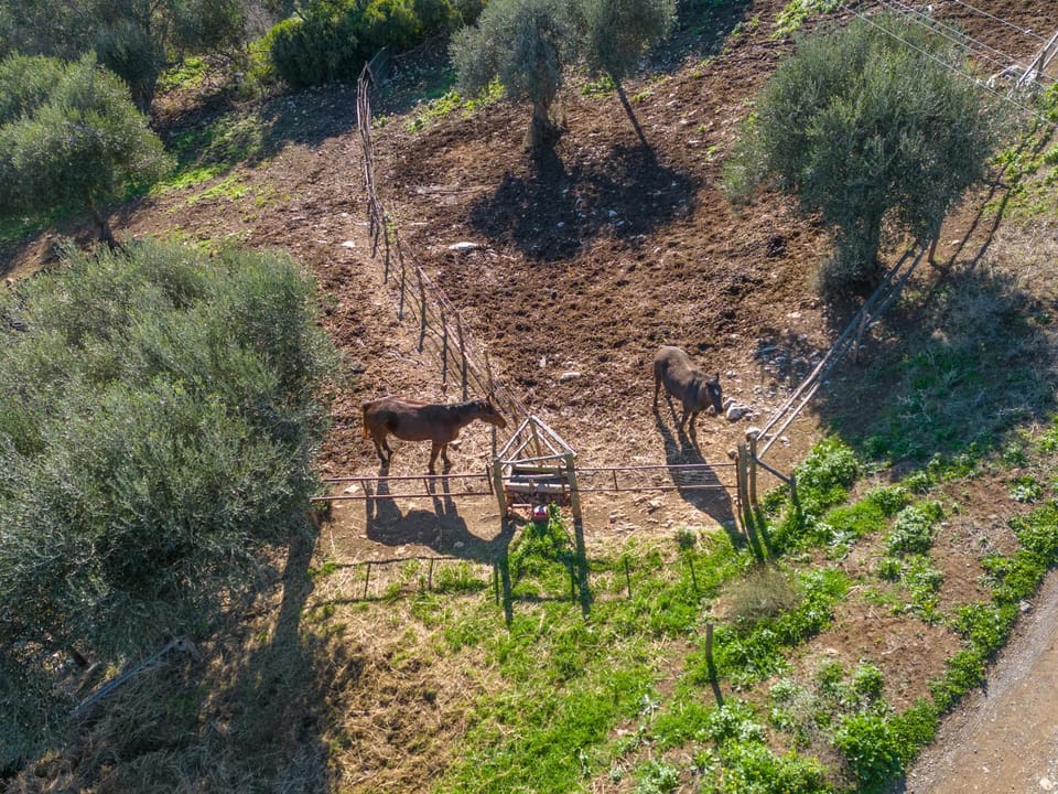 Horse-riding