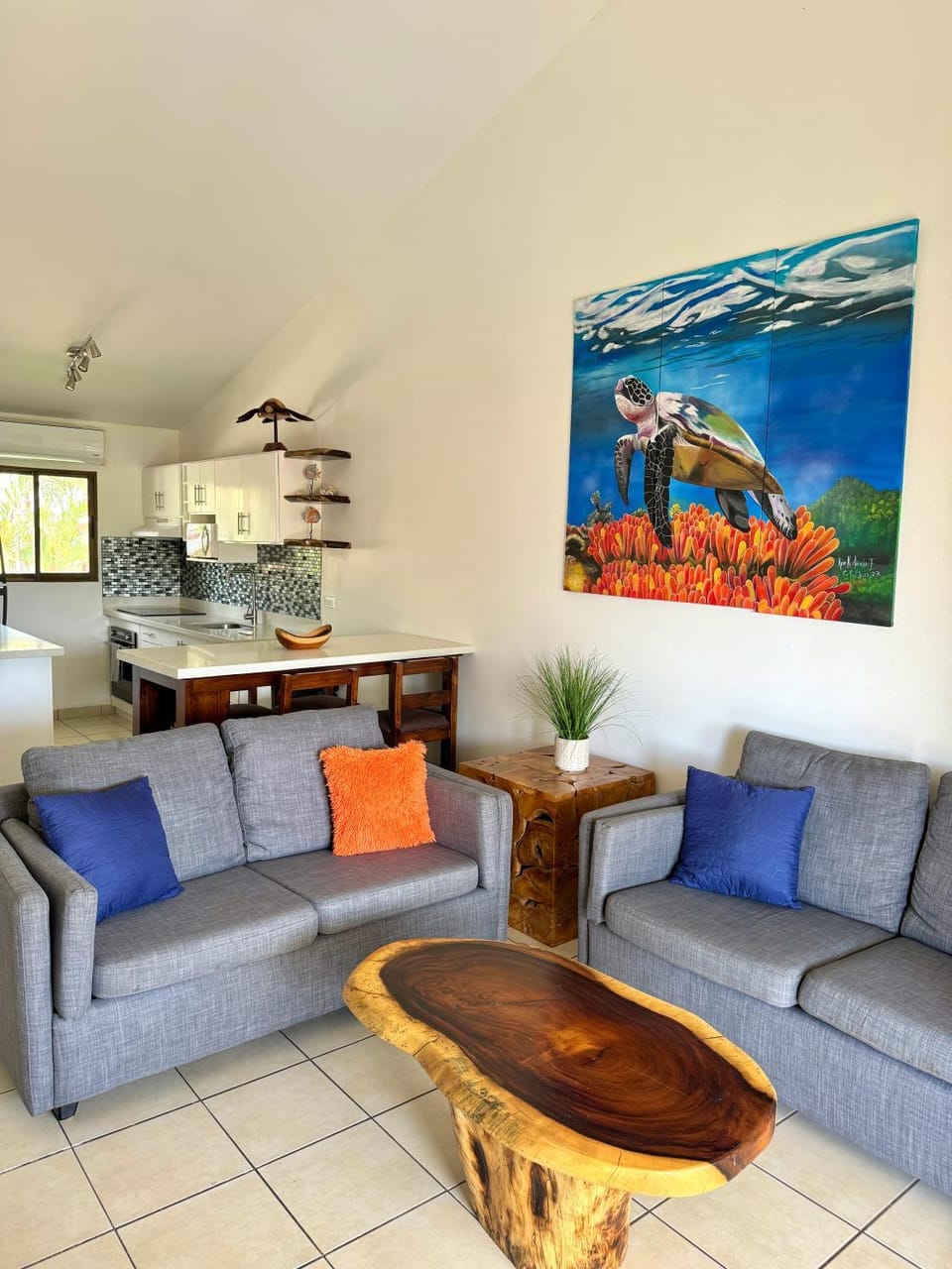 Coral Reef Condo House in Coco