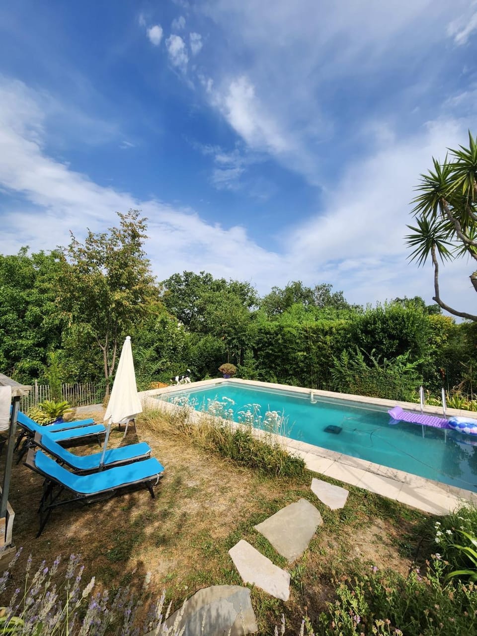 Jolie maisonnette avec terrasse vu sur la piscine et jardin House in Vence