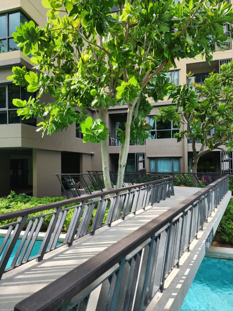 Pool view