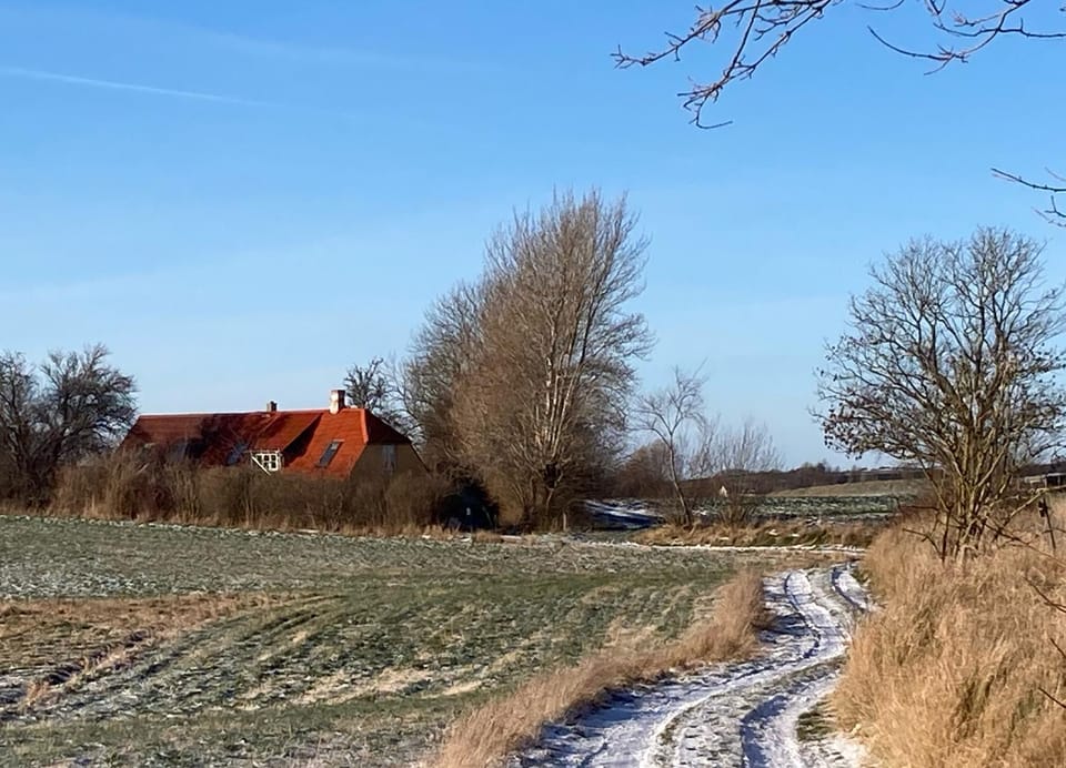 Day, Natural landscape, Winter