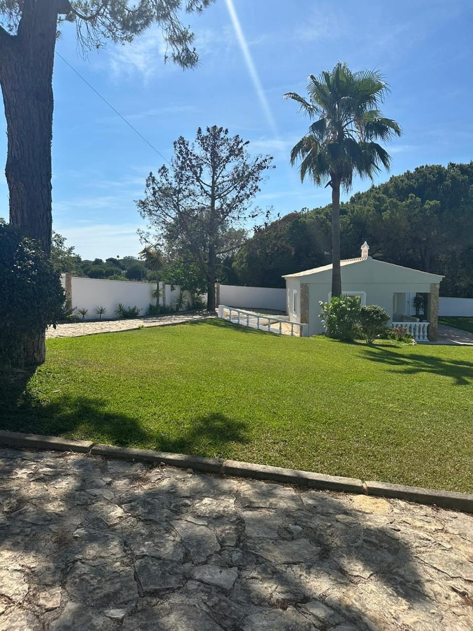 Natural landscape, Garden, Garden view