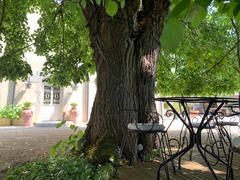 Patio, Garden view