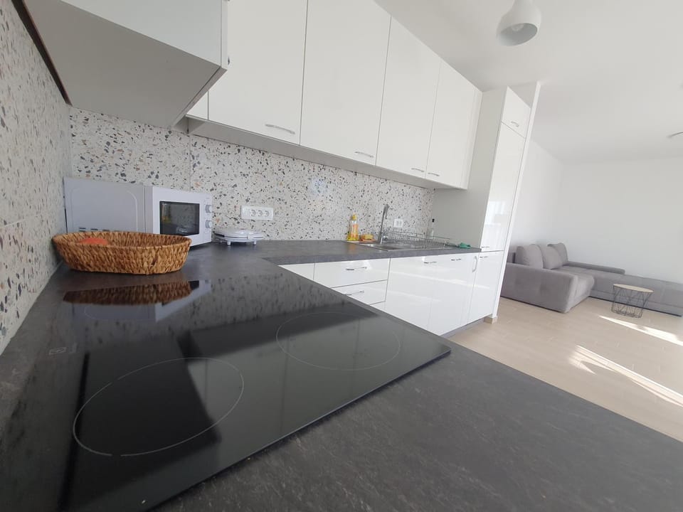 Kitchen or kitchenette, minibar, pet friendly, stove
