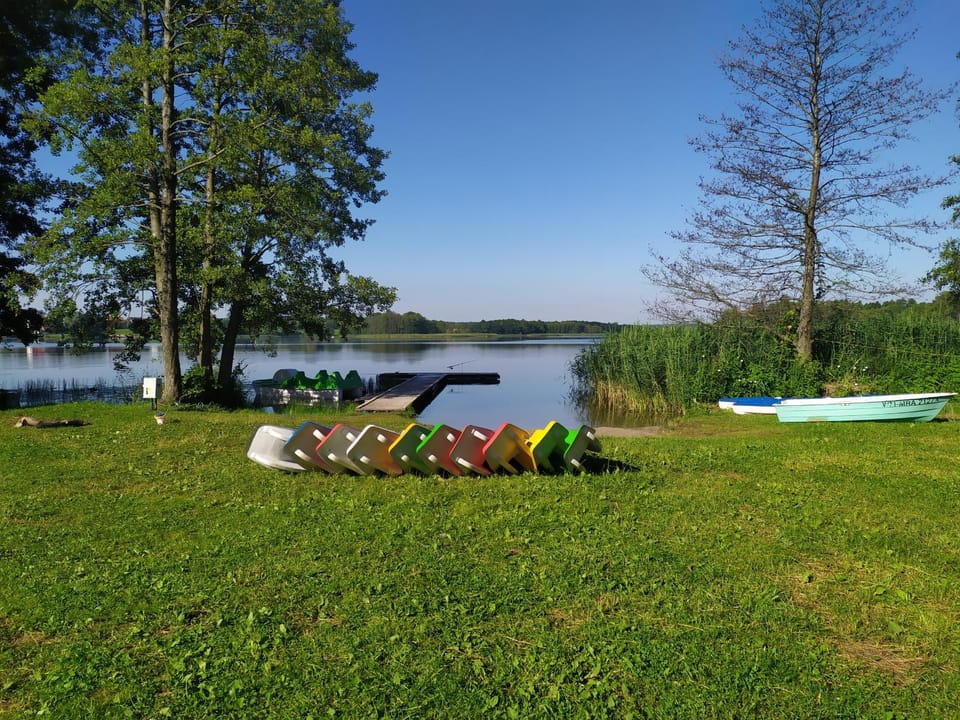 Lake view