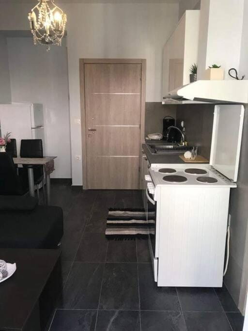 Kitchen or kitchenette, pet friendly